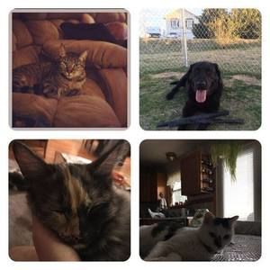 Meet your Posher, Janet